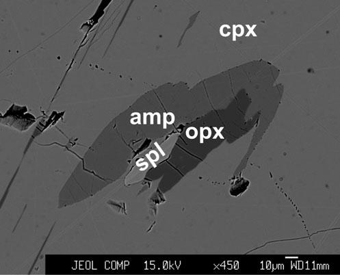 1. ábra Amfibolosodott (amp) klinopiroxén (cpx), ortopiroxén (opx) és spinell (spl) szételegyedési lamellákkal a JMTQ20 mintában (Mt. Quincan).