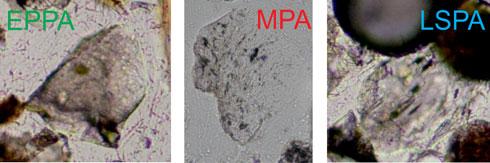 2. ábra Különböző korú kiömlésekből származó kőzetüvegszilánkok. A szemcsék ~100 µm-esek 4. ábra A különböző korú kitörésekhez köthető amfibolfragmentumok csoporton belüli.