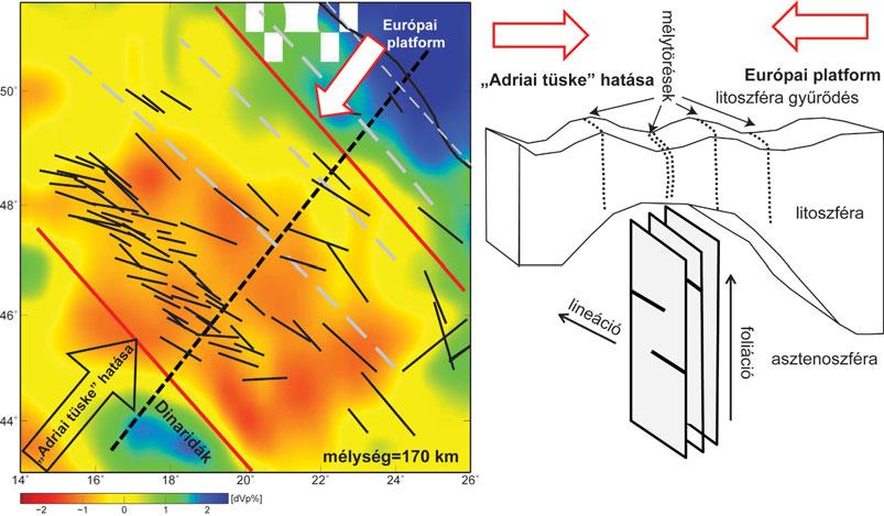 2. ábra A Kárpát Pannon régió alatti asztenoszférában létrejött vertikális foliáció, a litoszférában kialakult gyűrődés és az azzal összefüggő mélytörések sematikus vázlata.