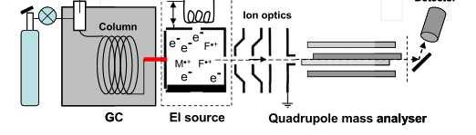 Gázkromatográgelektron ionizációs ionforrással, ionoptikával, quadrupol tömeganalizátorral és detektorral Injektor Oszlop Fűtés Ionoptika Detektor Gázpalack GC