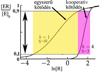 Egyszerű és kooperatív kötődések telítési görbéi szenzitivitási index [ R] S [ R] 0,9 0,1 Ha R 0,1 ellett ÉS R 0,9 ellett [ ER] 0,1.[ E] 0 [ ER] 0,9.