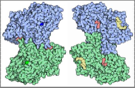 org/pdb/explore/jol.do?