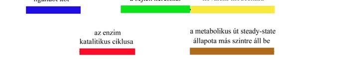 Eltérő szabályozó echanizusok időigénye 3 Reverzibilis és irreverzibilis gátlás k 1 E R ER