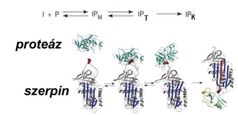 EI E k1 Irreverzibilis inhibitorok k ' ax kcat.