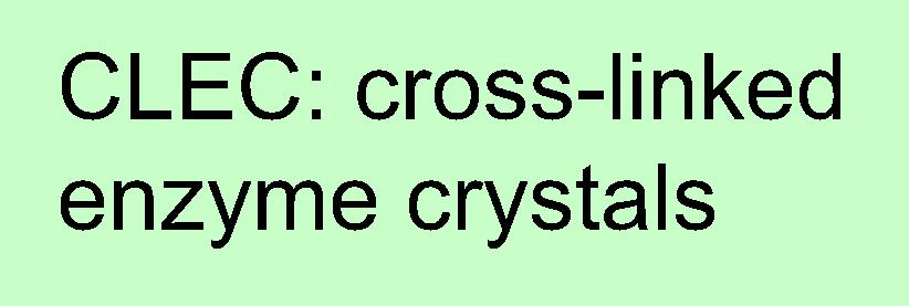 456 (m 2 /g) 11 CLEA: cross-linked enzyme aggregation CLEA: