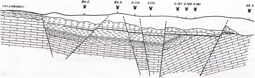 A második vetővonal az elsővel párhuzamosan Bakonyszentkirály, Bakonyoszloptól 600 m-re K-re húzódik és a medence aljzatot alkotó fődolomitot, 270 m-es mélységbe veti le.