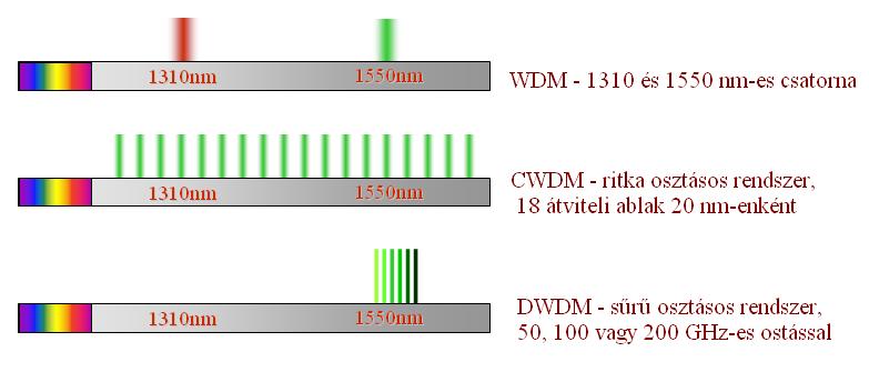 Wawe Division