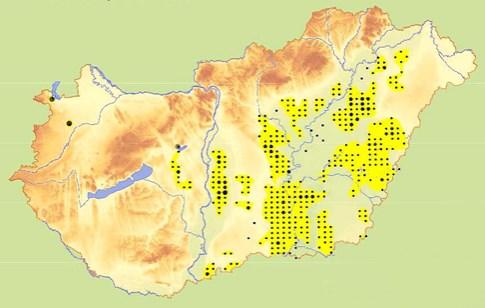 2 alapján) Fig. 9. Annual salt pioneer swards in Hungary (after MÉTA 1.2) 10. ábra.