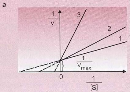 max ø - pl.