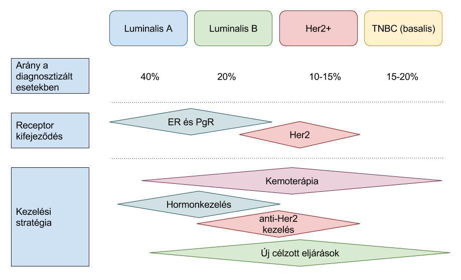 Az adjuváns szisztémás kezelés a korai emlőrák műtétét követő gyógyszeres terápia, mely lehet endokrin-, kemoterápia+/- biológiai kezelés is (3.ábra).
