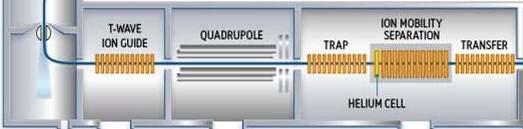 Electron Transfer Dissociation - ETD