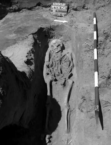 4. kép: Árpád-kori(?) csontvázas sír (Budapest, XXIII. ker., Péteri major) élesen rajzolódó, egynemű, tömött, sötétbarna betöltésű folt rajzolódott ki.