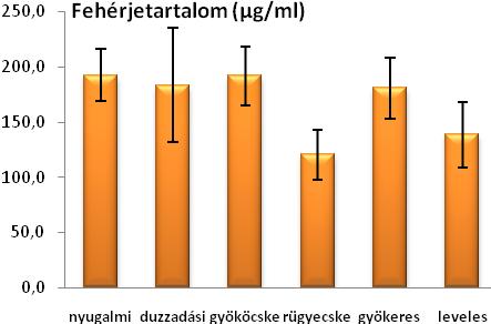 6. ábra Sziklevél fehérjetartalom változása kocsányos tölgy csemeték egyedfejlődése során.