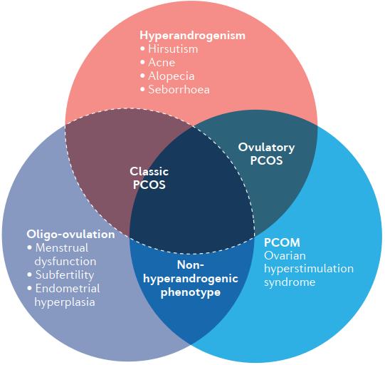 PCOS fenotípusai A klasszikus PCOS (a legsúlyosabb) Hyperandrogenizmus (hirsutizmus, akne, alopecia és seborrhoea) Oligo-ovuláció (menstruációs diszfunkció, szubfertilitás és endometrium hyperplasia)