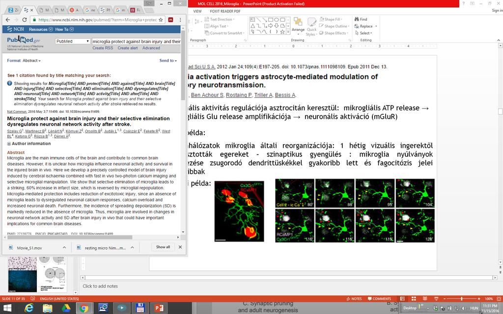 mikrogliális ATP/adenosin