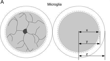 Jung et al.