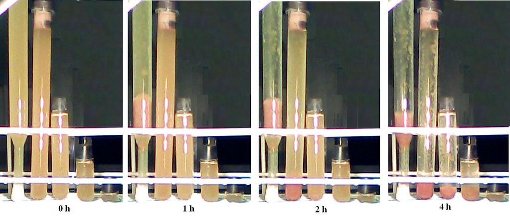 H h süllyed lebeg (6.4) Ha H = h, akkor c(h)/c(0) = 1/(e 1). Az ábrán a tenyészcső tetején és alján mért baktérium-koncentrációk viszonyát ábrázoltuk a (6.