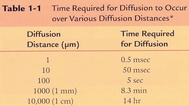 3 A diffúzióhoz szükséges időtartam a