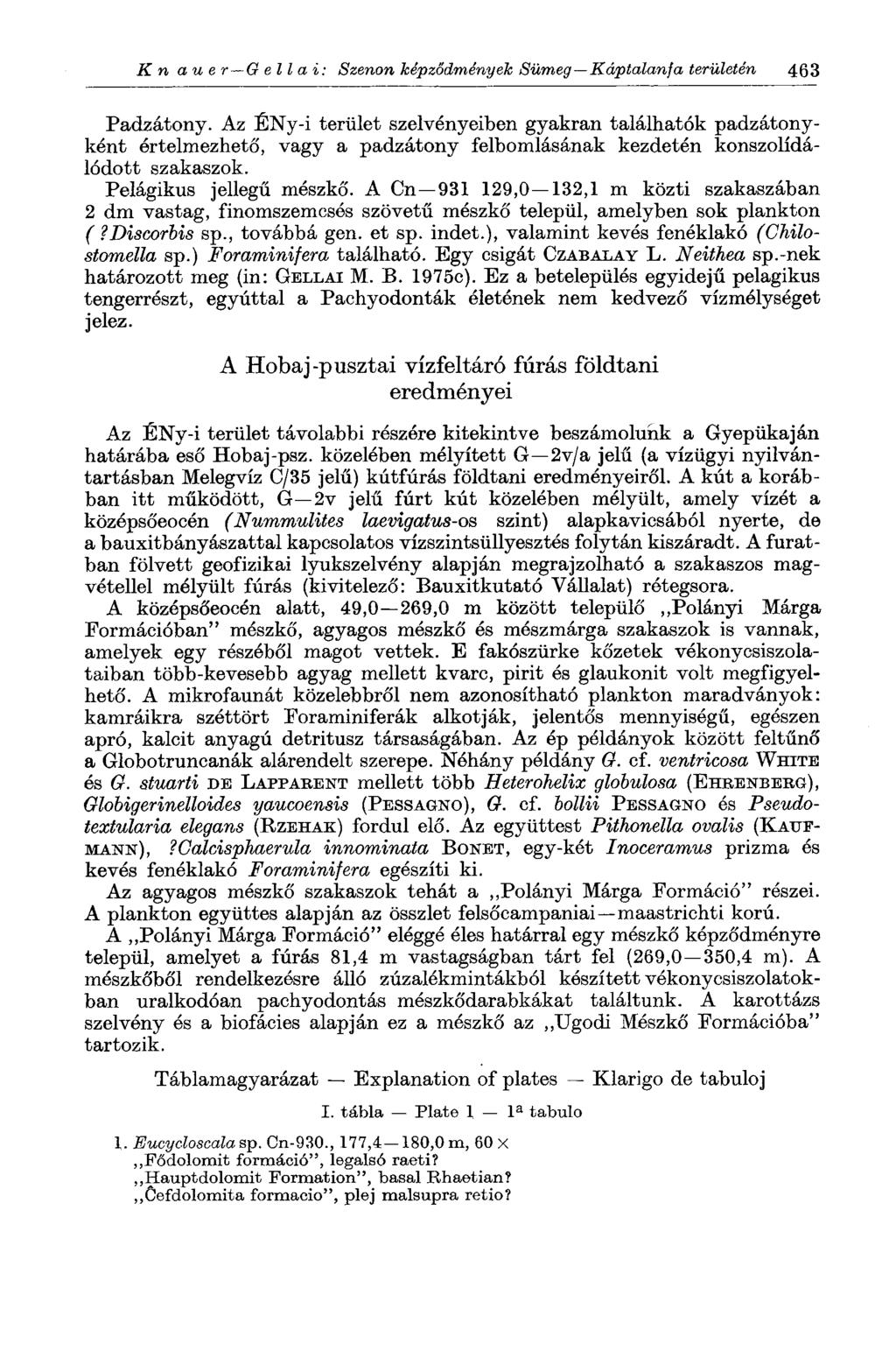 К п а и в г G ell a i: Szenon képződmények Sümeg Káptalanja területén 463 Padzátony.