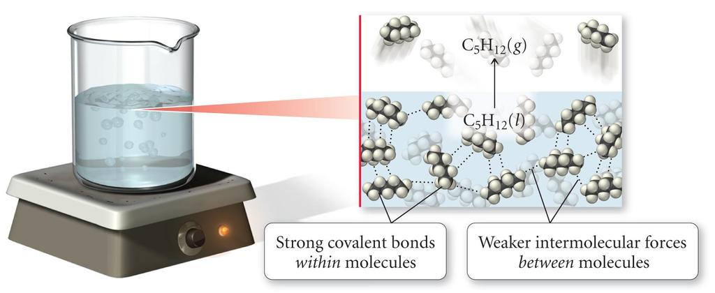 Van der Waals kölcsönhatás A molekulán belül kovalens kötés apoláris molekula dipólus keletkezik