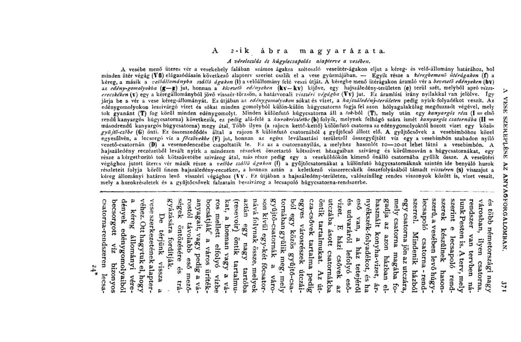 * A 2 - i k á b r a m a g y a r á z a t a. A véreloszlás és húgylecsapolás alapterve a vesében.