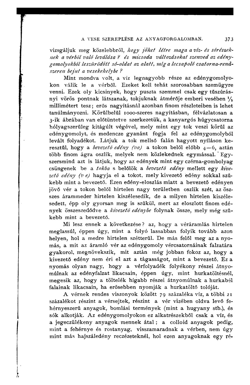 A VESE SZEREPLÉSE AZ ANYAGFORGALOMBAN. 373 v i z s g á l j u k m e g k ö z e l e b b r ő l, h o g y j ö h e t lé tr e m a g a a v íz - é s só r é s z e k n e k a v é r b ő l v a ló le v á lá s a?