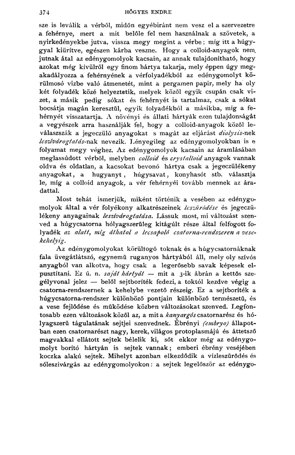 374 HŐGYES ENDRE s z e is le v e liik a v é r b ő l, m i d ő n e g y é b i r á n t n e m v e s z e l a s z e r v e z e t r e a f e h é r n y e, m e r t a m i t b e l ő l e f e l n e m h a s z n á l n