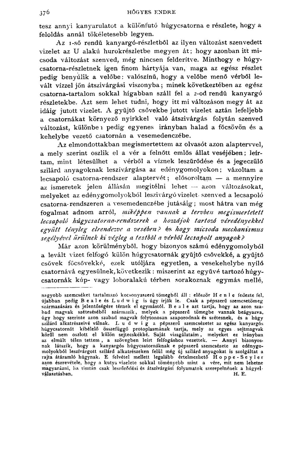 376 HŐGYES ENDRE t e s z a n n y i k a n y a r u l a t o t a k ü l ö n f u t ó h ú g y c s a t o r n a e r é s z l e t e, h o g y a f e l o l d á s a n n á l t ö k é l e t e s e b b l e g y e n.