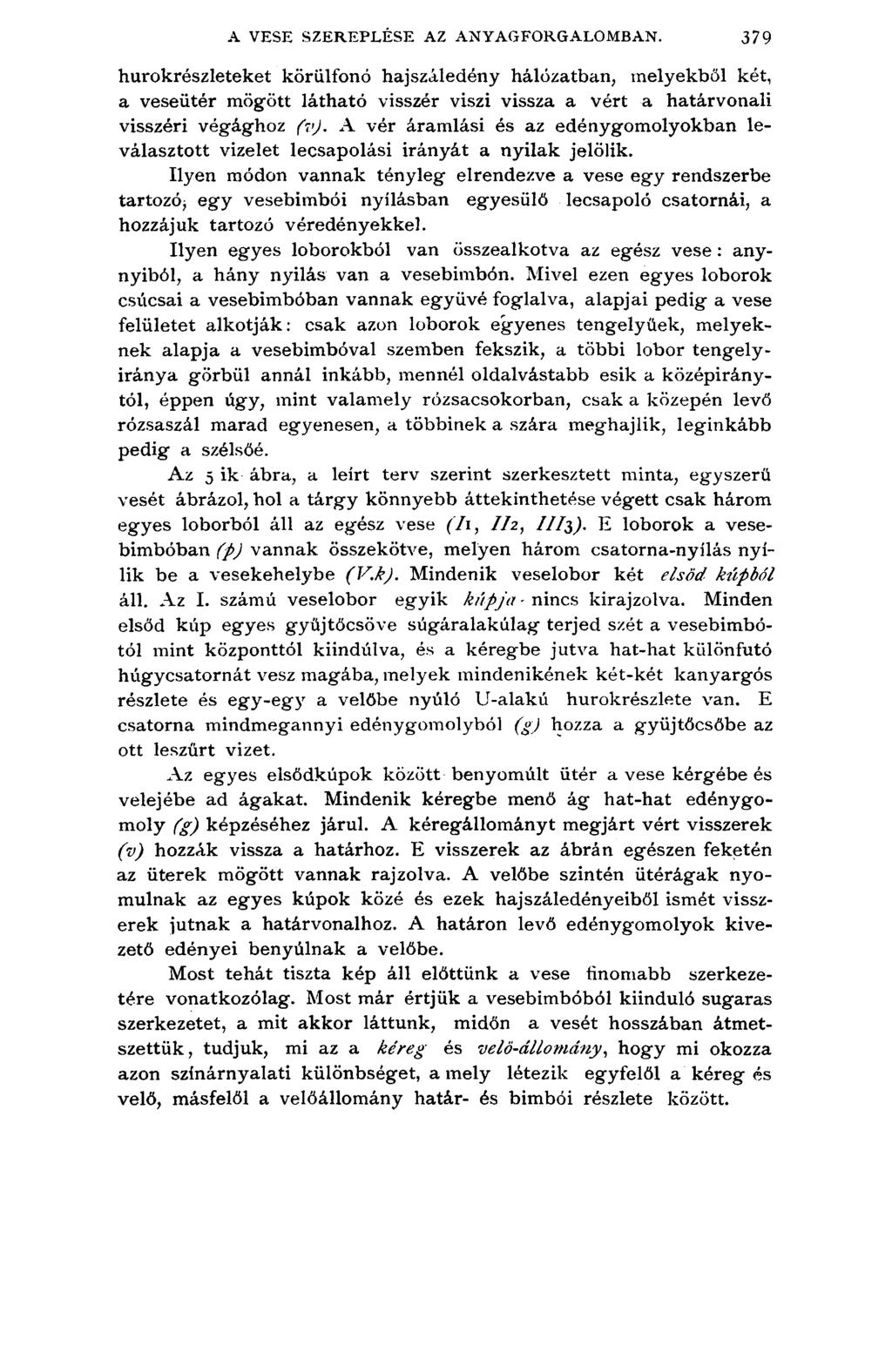A VESE SZEREPLÉSE AZ ANYAGFORGALOMBAN.