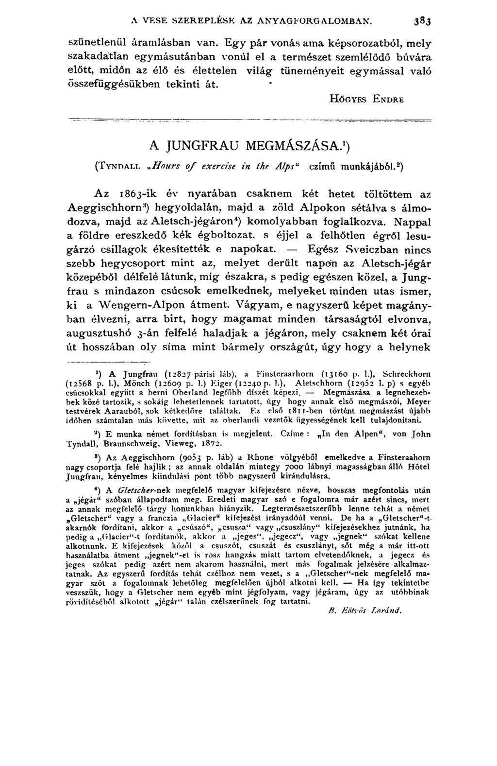 A VESE SZEREPLÉSE AZ ANYAGFORGALOMBAN. 383 s z ü n e t l e n ü l á r a m l á s b a n v a n.