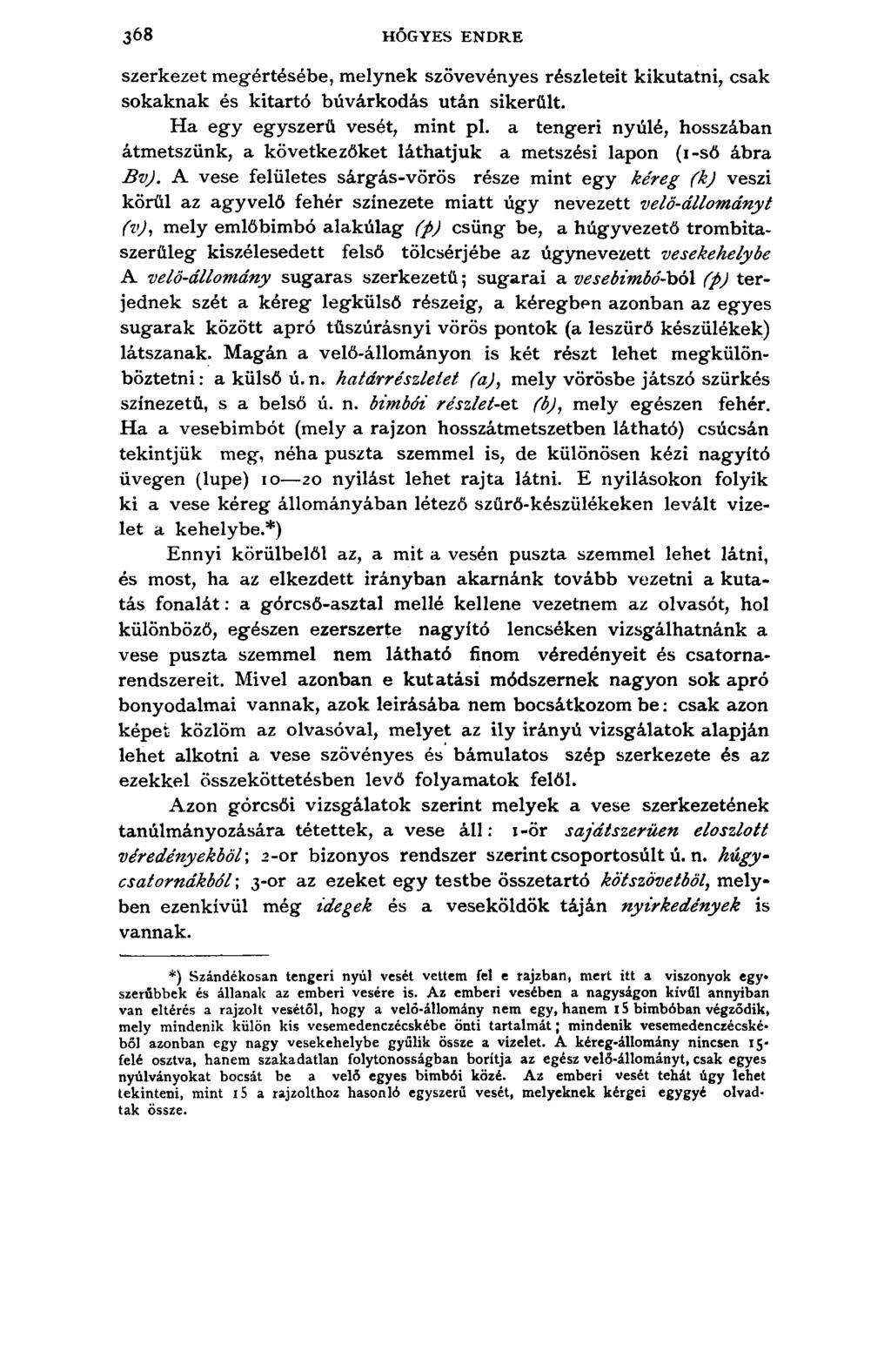 3 6 8 HŐGYES ENDRE s z e r k e z e t m e g é r t é s é b e, m e l y n e k s z ö v e v é n y e s r é s z l e t e i t k i k u t a t n i, c s a k s o k a k n a k é s k i t a r t ó b ú v á r k o d á s u