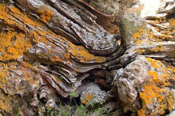 Szerveződés feladata Balaton-felvidéki NP Bakony-Balaton Geopark Csoport