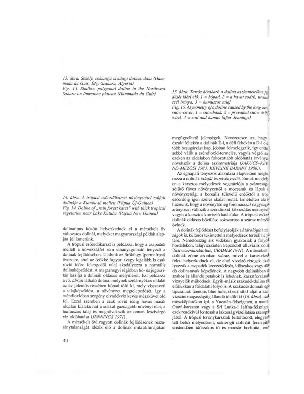 13. ábra. Sekély, sokszögű sivatagi dolina, daia (Ilanimada du Guir, ÉNy-Szahara, Algéria) Fig. 13. Shallow polygonal doline in the Northwest Sahara on limestone plateau (llammada du Guir) 15. ábra. Tartós hótakaró a dolina aszimmetrikus jcj dését idézi elő.