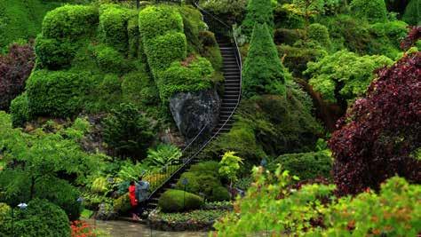 nap Victoria Harrison Hot Springs Délelőtt látogatás a Butchart Gardens egykori kőfejtőből kialakított kertben, melyben a világ különböző tájairól származó ritka növényeket tekinthetnek meg.