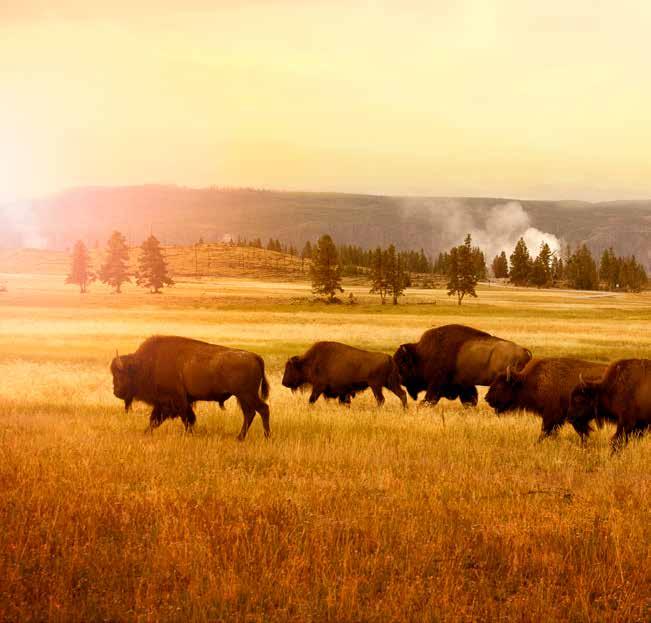 nap Denver Cheyenne Reggeli után városnézés az egy mérföld magasan fekvő, Colorado aranyáról híres városban, amely a XIX.