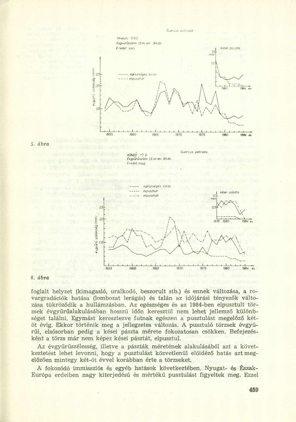 , Quercus petraea KONDO 17 0 Évgyúrúszóm Í3 m-en: 95dp Eredet mag 6. ábra foglalt helyzet (kimagasló, uralkodó, beszorult stb.