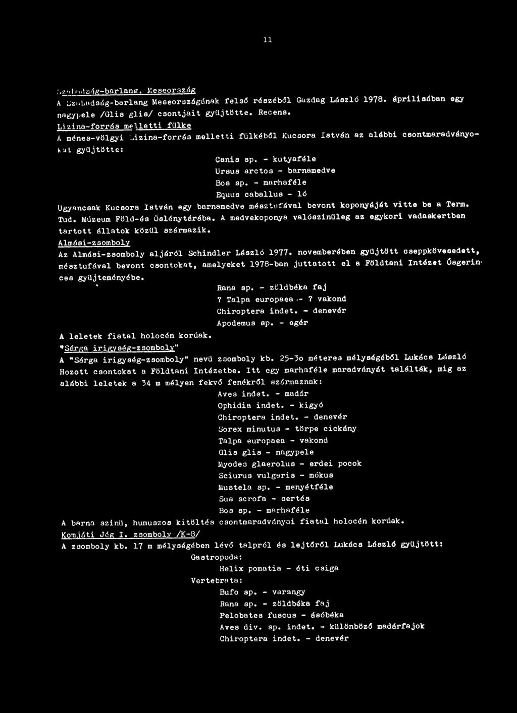 - marhaféle Equus caballus - ló Ugyancsak Kucsora István egy barnamedve mésztufával bevont koponyáját vitte be a Term. Tud. Múzeum Föld-és űslénytárába.