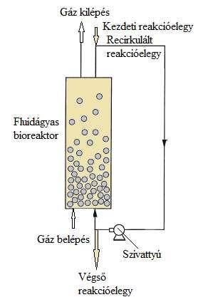 Diploadolgozat készítési útutató Az iobilizált enzies bioreaktorok esetében alkalazható a töltött ágyas vagy fluid ágyas egoldás is. A 3.18.