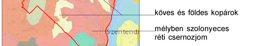 A további szentendrei szakaszok térségében (0+050 2+255 km sz.) inváziós fajokkal terhelt, spontán cserjésedő félszáraz gyepek, taposott gyepek (és hibrid kategóriáik) találhatók.