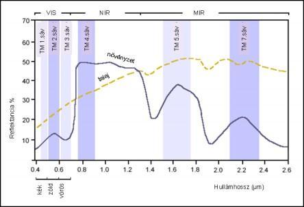 3-17. ábra LANDSAT TM felvételi sávjainak elhelyezkedése, valamint a zöld növényzet és talaj reflektancia görbéje. (A 6. (termális) sáv 10.4 és 12.