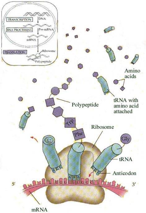 Overview of