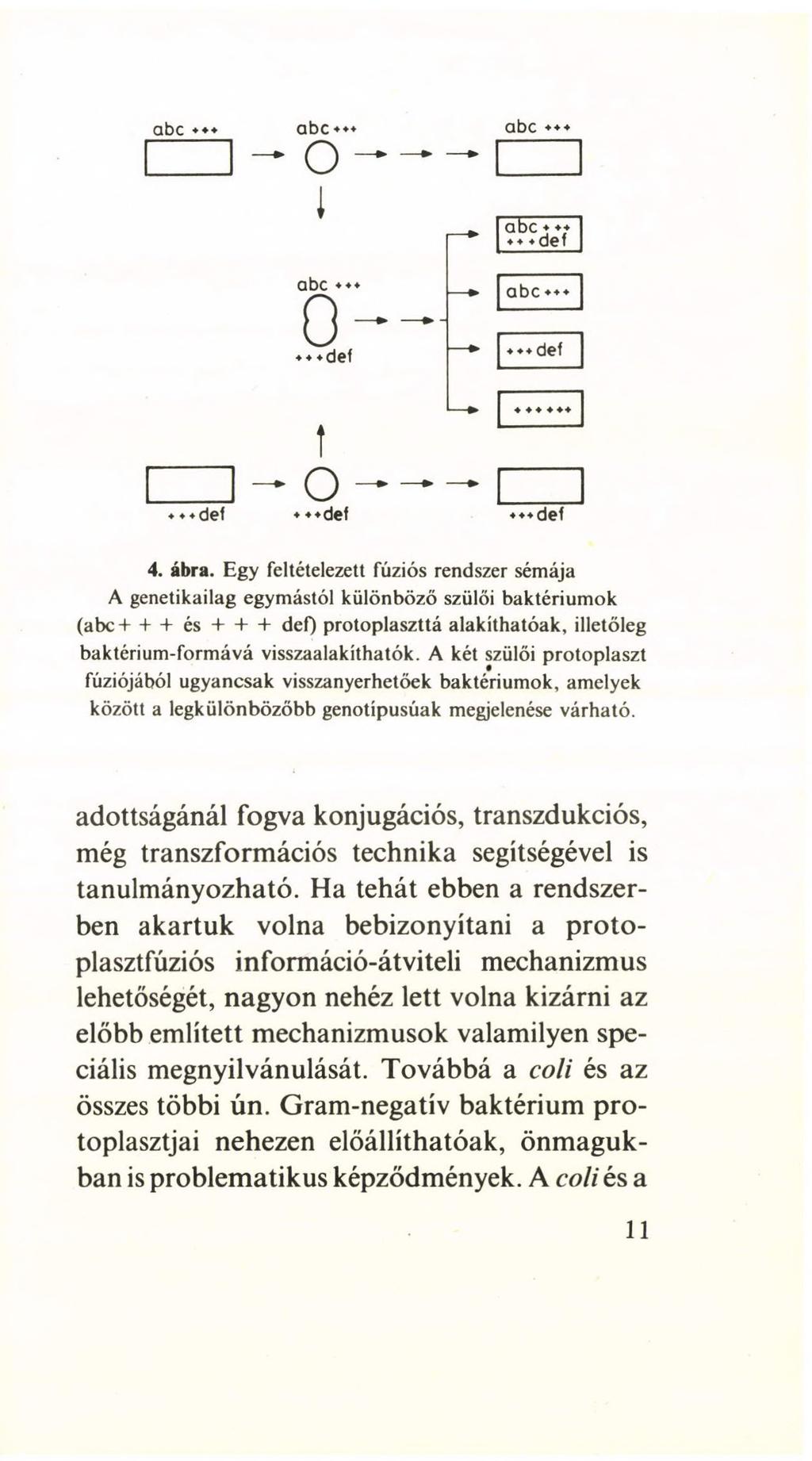 4. ábra.