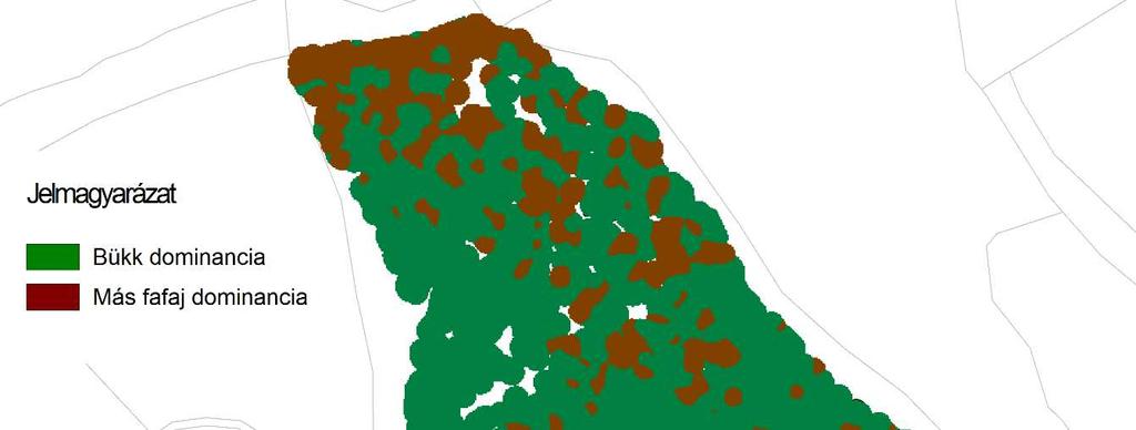 65 A terület nagy részén a bükk van túlsúlyban, dominanciáját a koronavetületek függvényében a kernel-sűrűségbecslés szemlélteti (22. ábra).