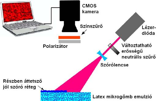 1. Mérés nyugalomban levő mikrogömb szuszpenzión Az érdemi kísérletek során alkalmazott első modell egy polisztirén (latex) mikrogömb szuszpenzió (650 nm, %) töltött, 1 mm-es üveg küvetta volt a