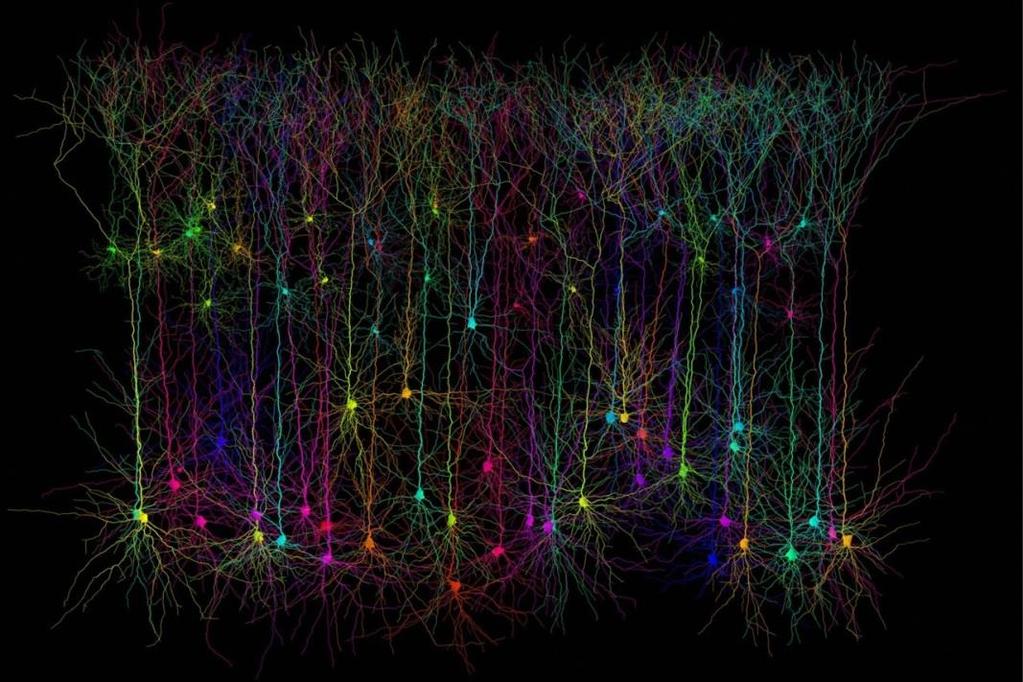 Terjedés Neuron Akciós potenciál 1-120