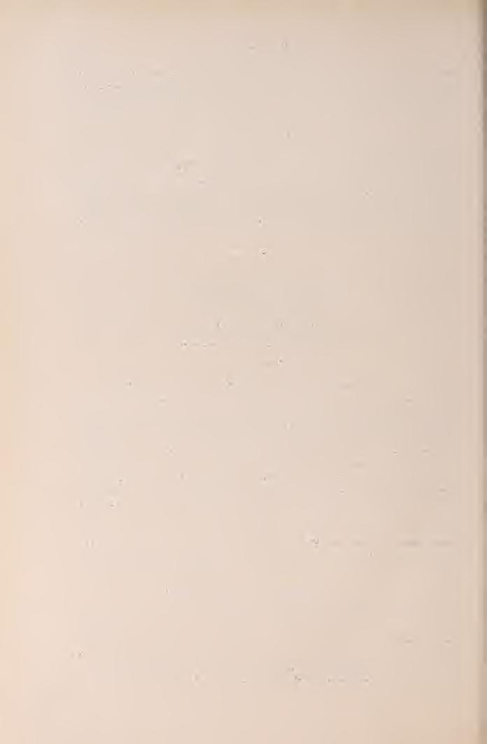 268 Dr. Kretzoi Miklós valamennyi Tragocerina, mind a három lelhelyen a nagy Deinotherium kíséretében. (Készült a Magyar Nemzeti Múzeum Földtani és slénytani tárában.) IRODALOM. 1. Pilgrim: Pál.