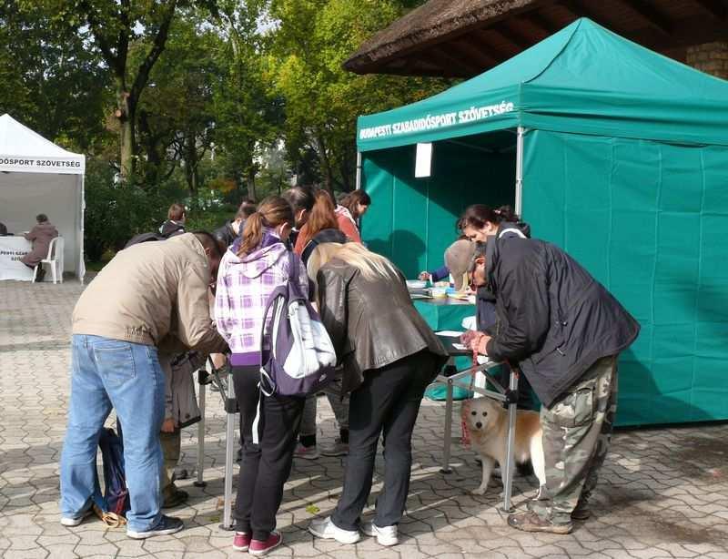 Gyalogos Túranap a Városligetben A Budapesti Szabadidősport Szövetség 2015.