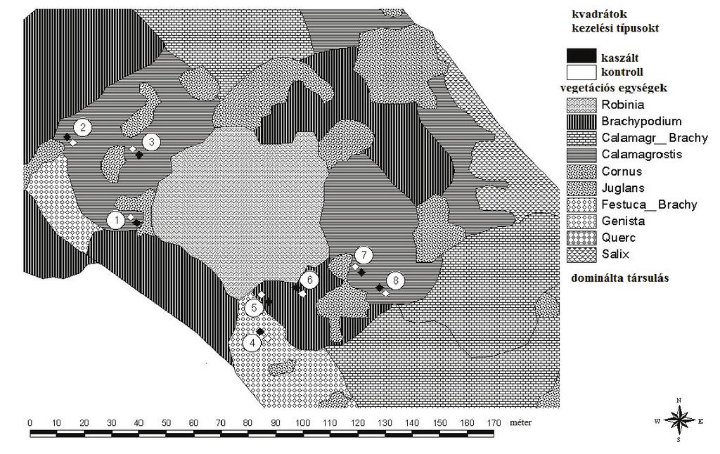 396 Há z i J. et al. 1. ábra A somló-hegy vegetációtérképe 2009-ben a kísérleti mintanégyzetek elrendezésével Figure 1.