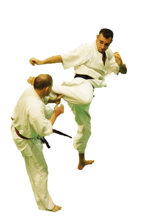 Gyerek Brazil Jiu Jitsu 6-18 éves korig A Brazil Jiu Jitsu az egyik leggyorsabban fejlődő, földharc központú küzdősport irányzat, amely az ütés-rúgás nélküli