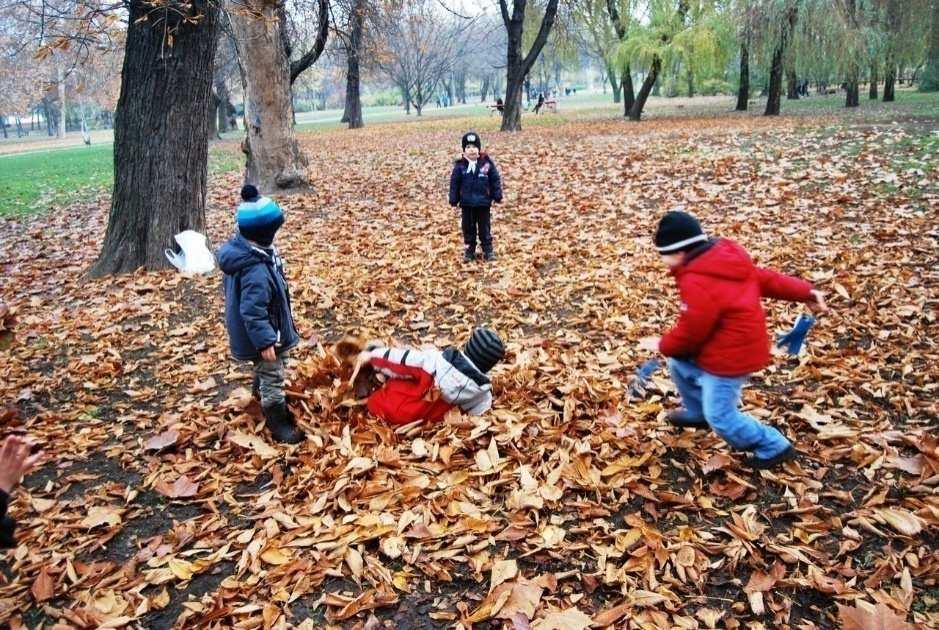 IV. 3. A külső világ tevékeny megismerése bővítjük a kirándulások alkalmával, valamint az erdei és falusi óvodában, mindezekkel elősegítjük a szülőföldhöz való kötődés érzését is.